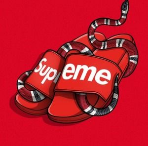 Meet your Posher, Luis